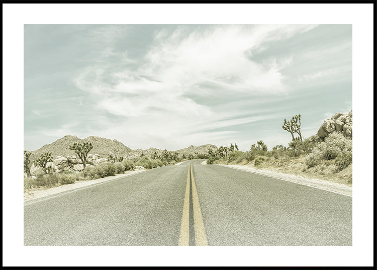 Vintage Joshua Trees, Park Boulevard Plakat - Posterbox