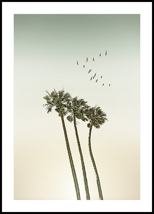 Vintage minimalist palm trees &amp; sunset Plakat - Posterbox