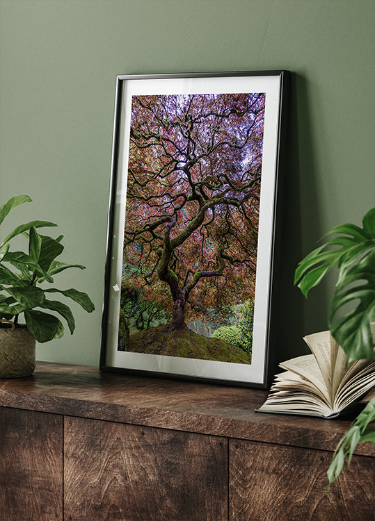 Japanese Maple Tree - Posterbox