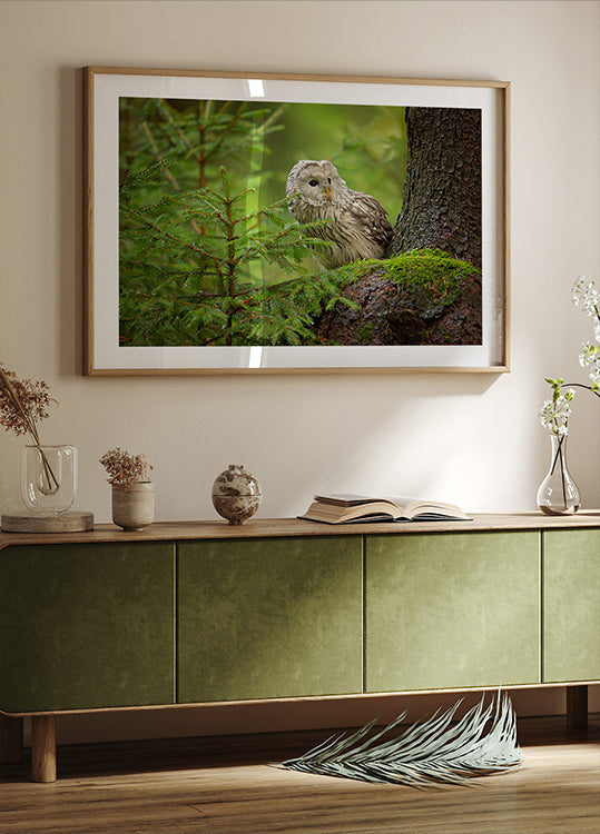 Ural Owl Plakat - Posterbox