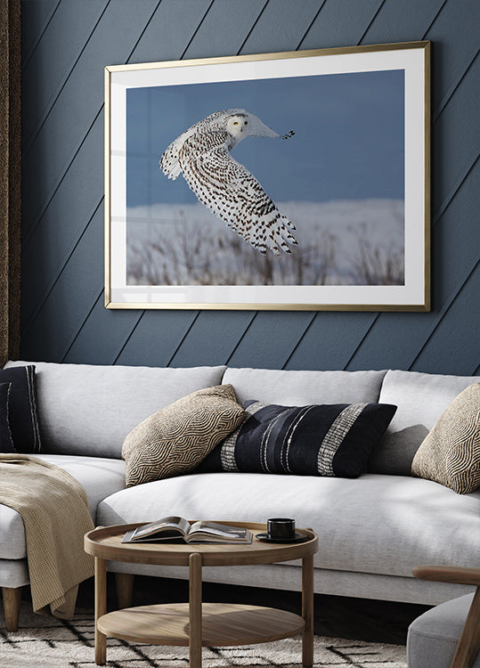 Snowy Owl - Posterbox