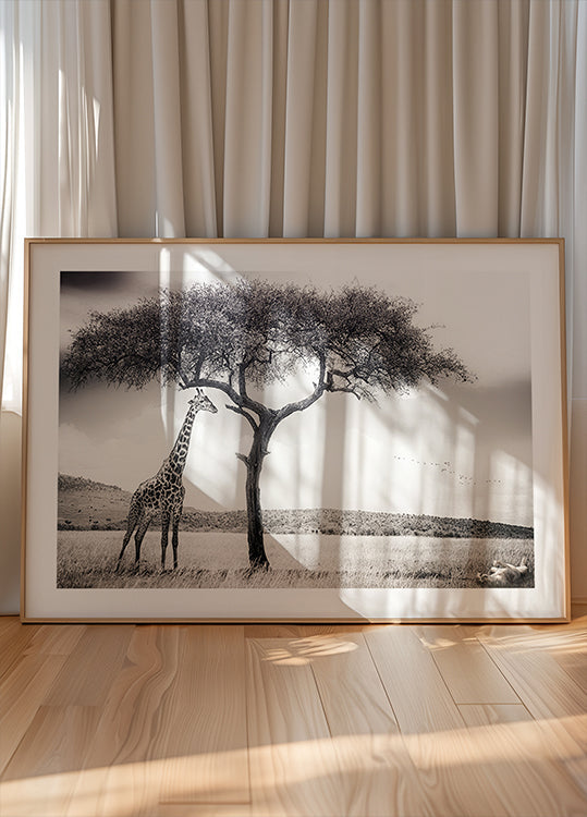 unter der afrikanischen Sonne Poster