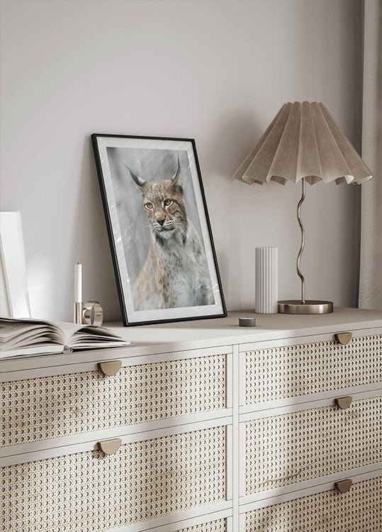 Luchsporträt im Nebel Poster