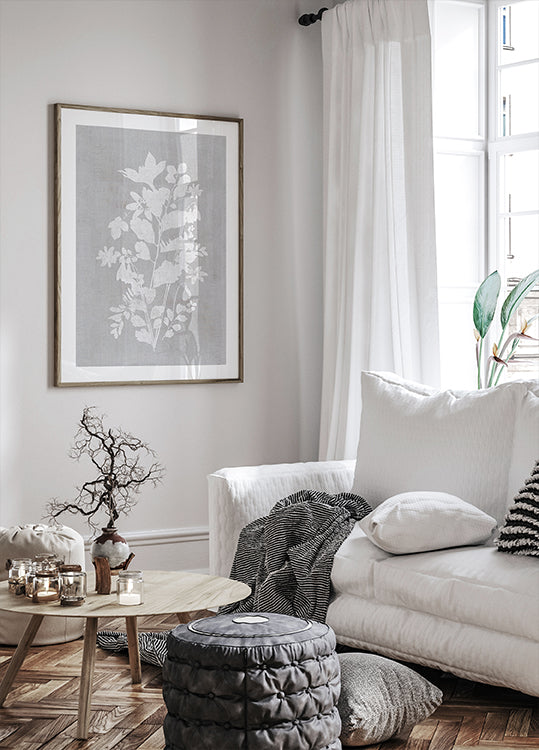 Botanische Illustration 2 Poster