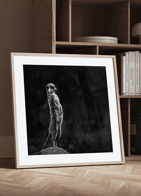 Das Erdmännchen-Poster