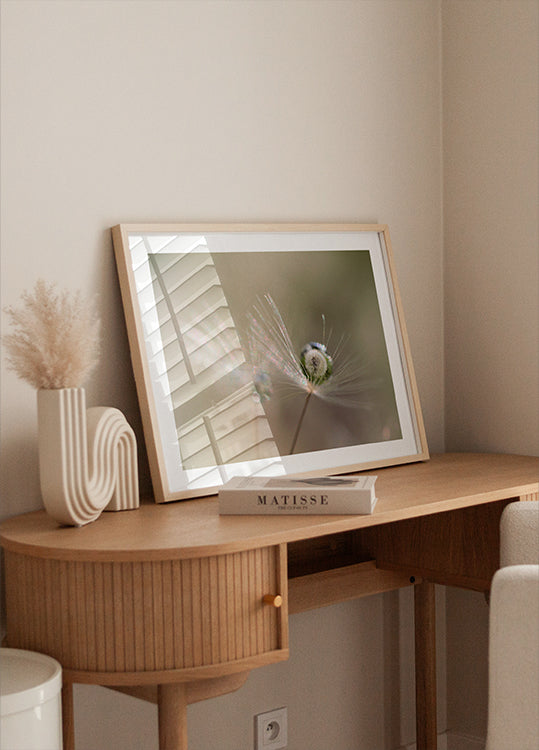 Stern aus Löwenzahn