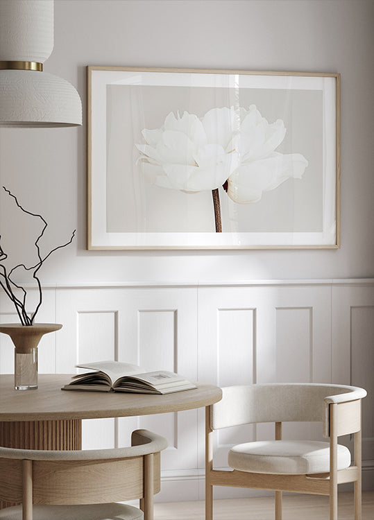 Pfingstrose Nr.11 Poster