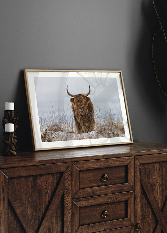 Highlander im Schnee Poster