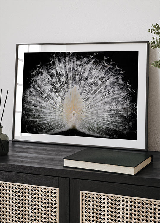 Schwarz-Weiß, Poster