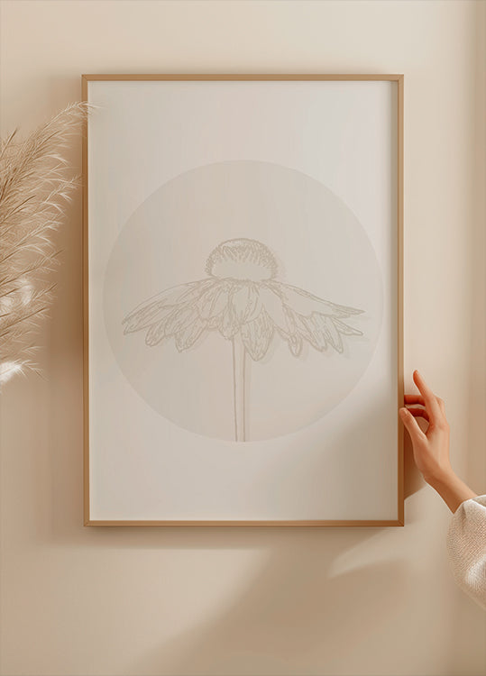 Gaillardia Bloom, botanisches Line-Art-Poster