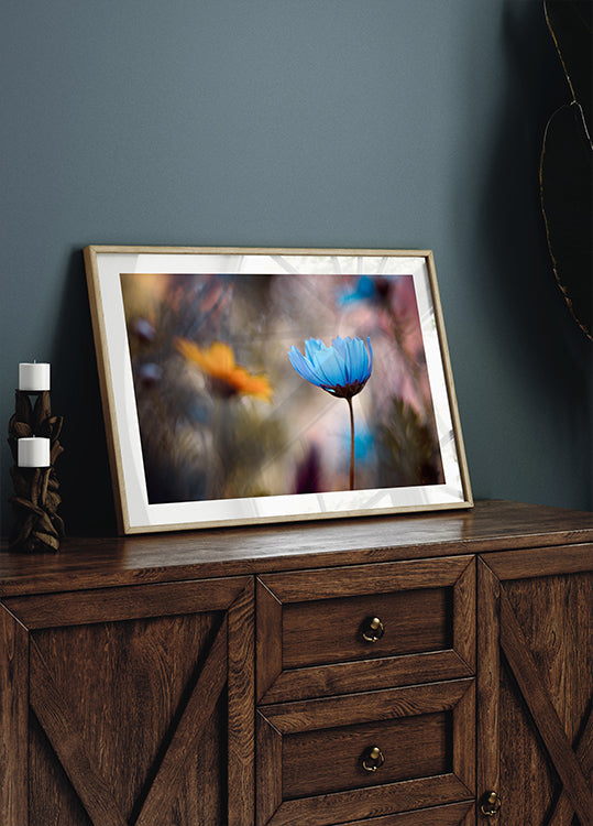 Willst du mit mir tanzen?