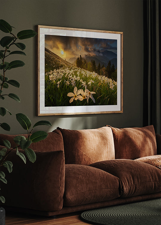 Poster mit weißem Teppich