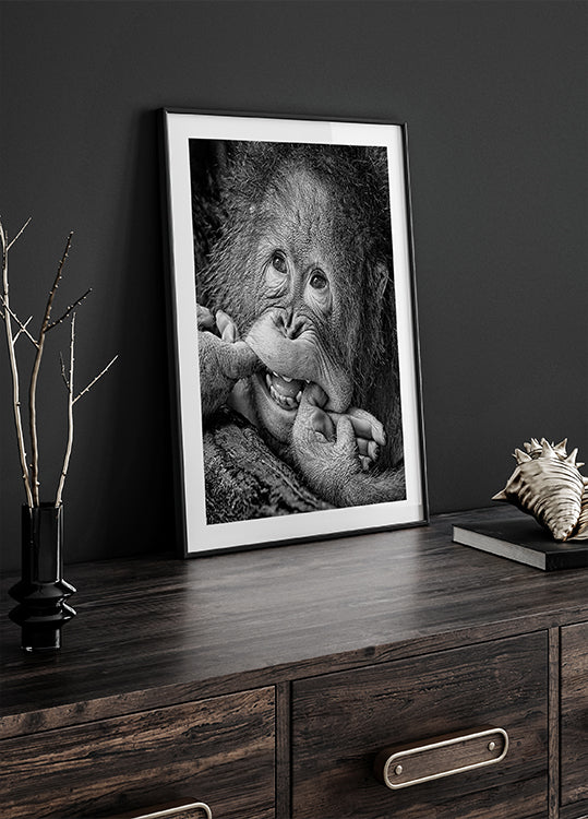 Großes Lächeln.....bitte Poster