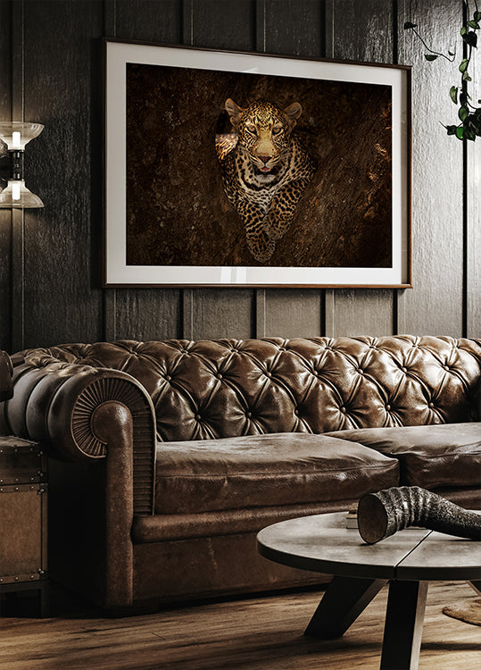 Leopard ruht auf einem Baum in der Masai Mara