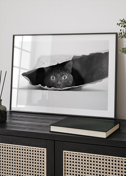 Katze in einer Tasche Poster