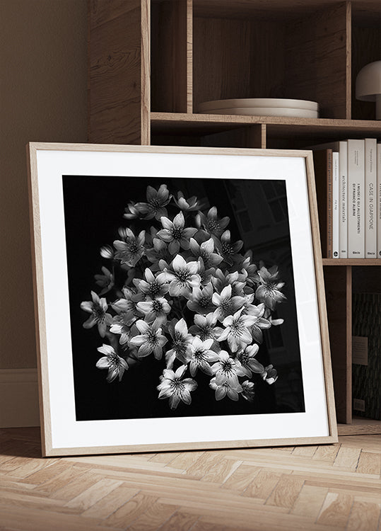 Frühes Sensationsplakat