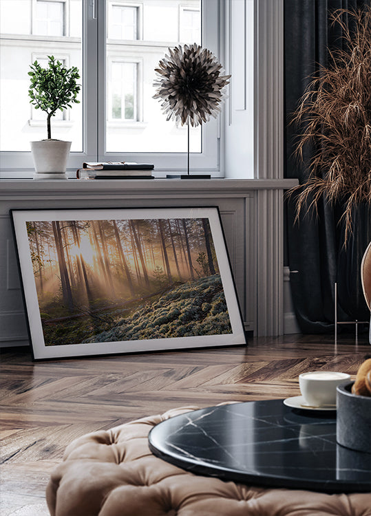 Poster Nebel im Wald mit weißem Moos im Vordergrund