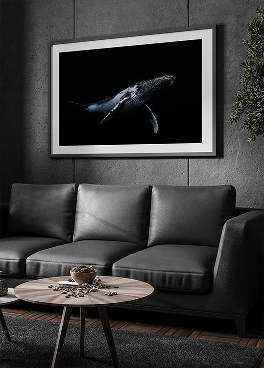 Schwarz- und Wal-Poster