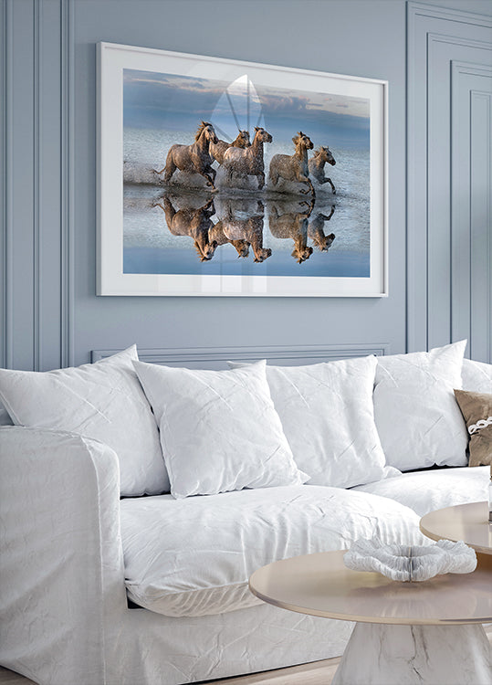 Pferde und Reflexion