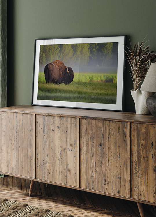 Bison im Morgenlicht Poster