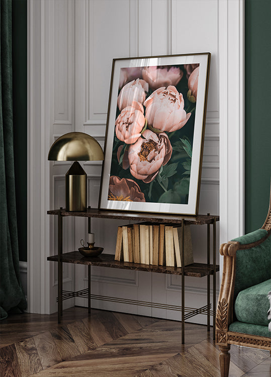 Korallenpfingstrosen