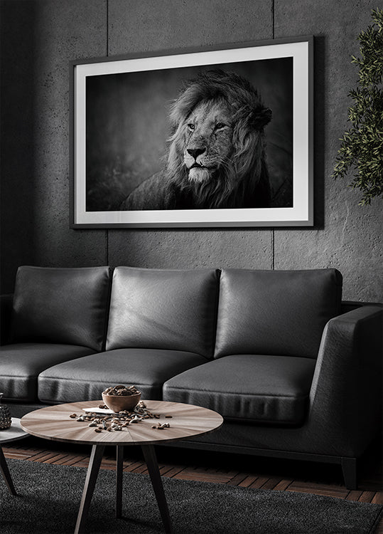 Regal Plakat - Posterbox