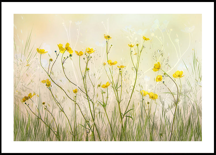 Good morning! Plakat - Posterbox