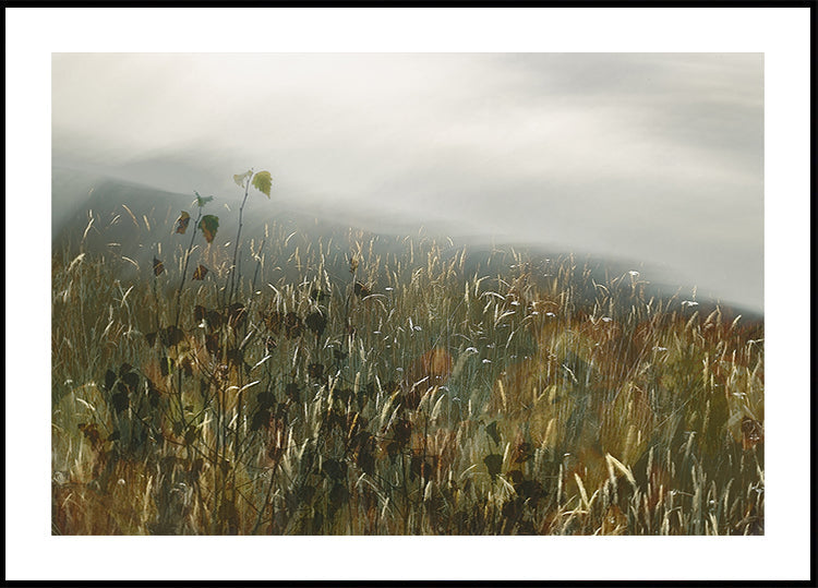 In the field - Posterbox