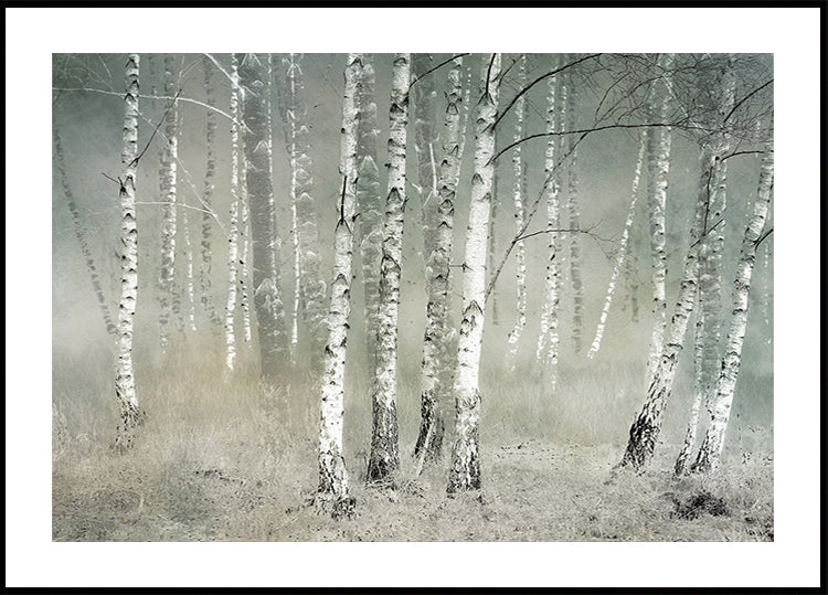 Morning silence  Plakat - Posterbox