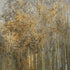 Birch impression Plakat - Posterbox