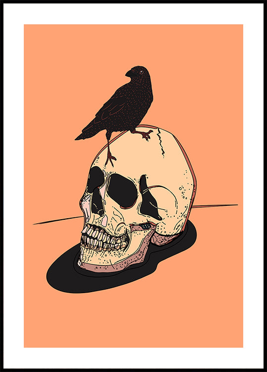 Skull And Raven Plakat - Posterbox