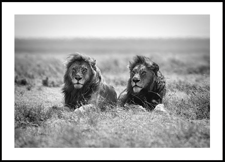 Two kings Plakat - Posterbox