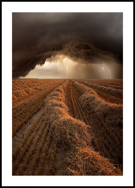 Untitled - Posterbox