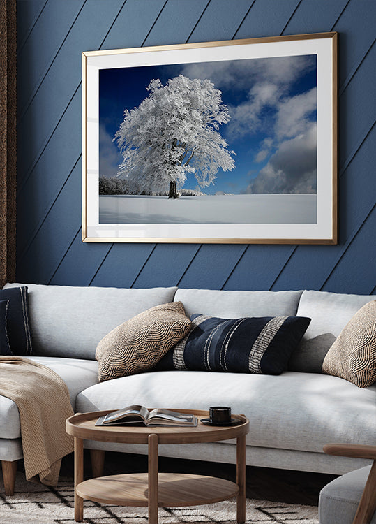 White Windbuche in Black Forest - Posterbox
