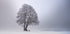 Winter light Plakat - Posterbox