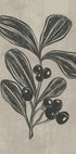 Winter Berry Plakat - Posterbox