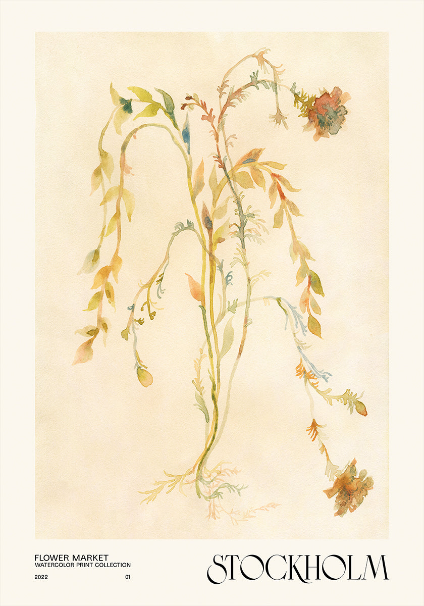 Watercolor print collection. Flower market - Stockholm - Posterbox