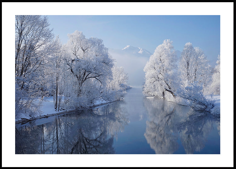 coldest morning Plakat - Posterbox