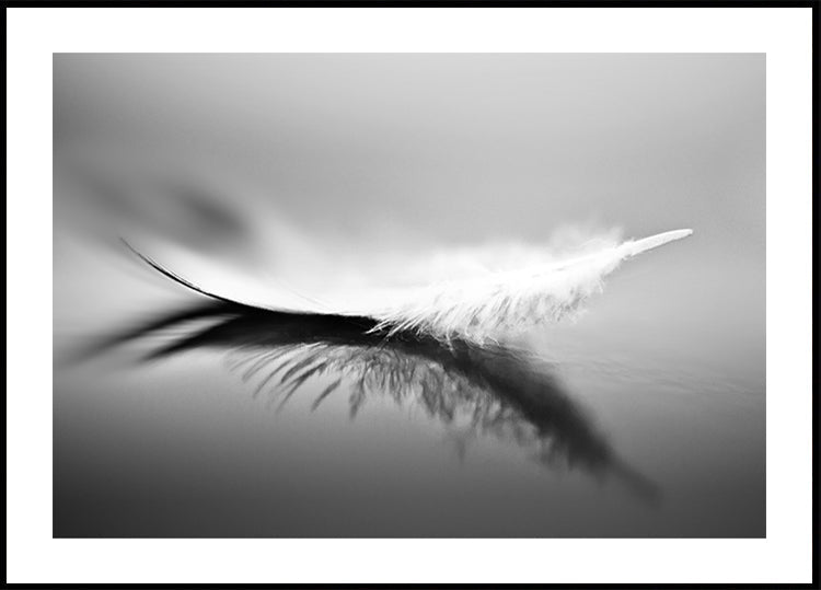 White - Posterbox