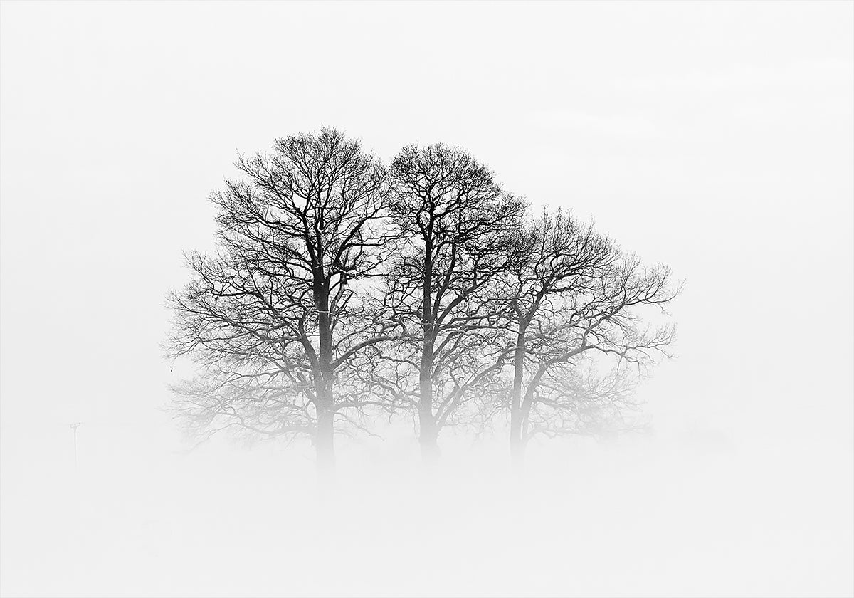 A Hazy Shade of Winter Plakat - Posterbox