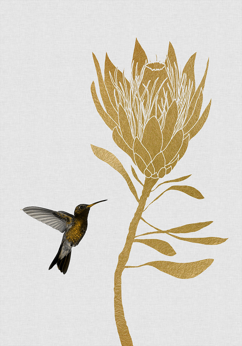 Hummingbird & Flower I Plakat - Posterbox