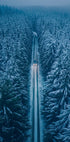 The Longest Winter Plakat - Posterbox