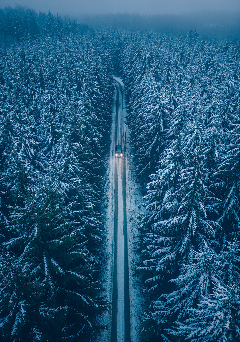 The Longest Winter Plakat - Posterbox