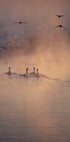Where the Fog Didn’t Reach Plakat - Posterbox
