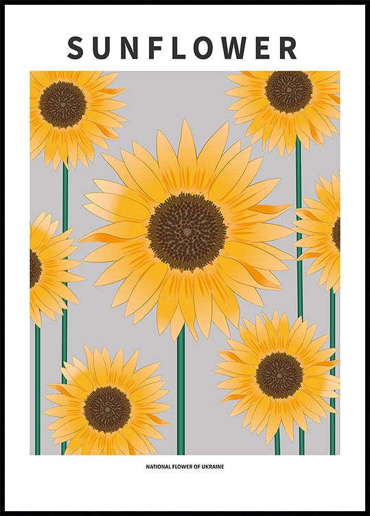 Sunflower - National flower och Ukraine Plakat - Posterbox