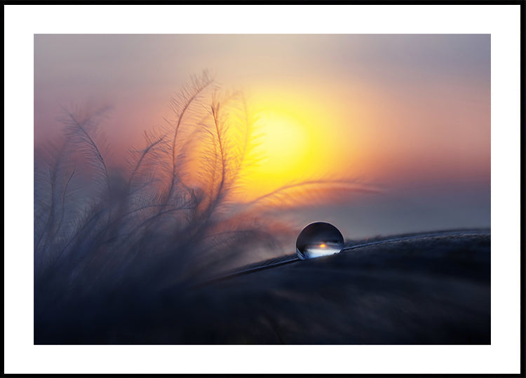 Morning - Posterbox