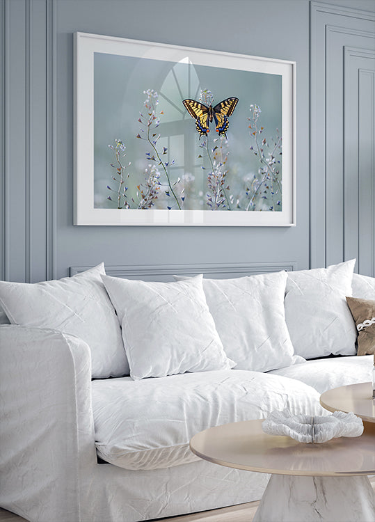Swallowtail beauty - Posterbox