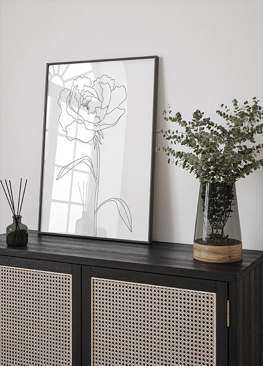 Peony Lines - Posterbox