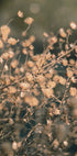 Beach flowers_003 Plakat - Posterbox