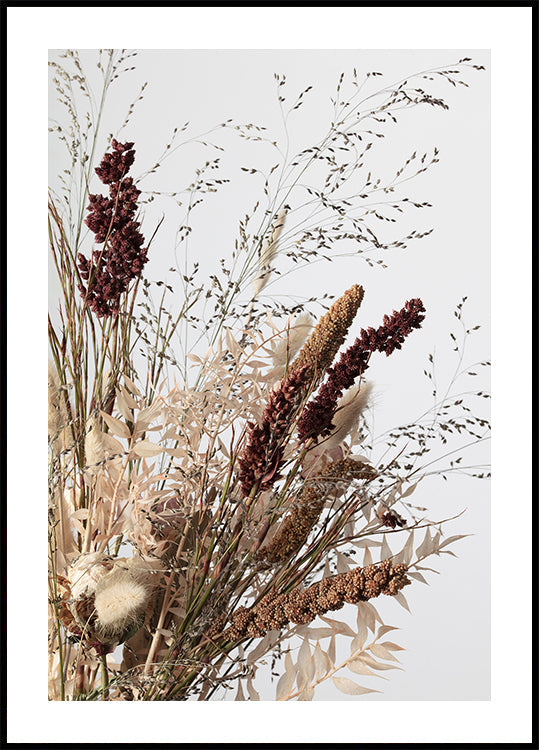 Dried_001 - Posterbox